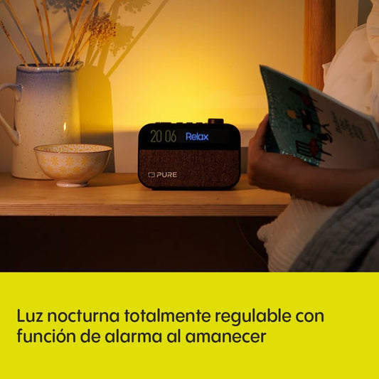 Clock-Radio Pure PURE MOMENT-1